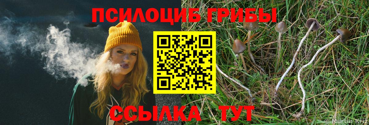 Псилоцибиновые грибы Magic Shrooms  Псилоцибиновые грибы мухоморы  Вход с VPN  Кашира 