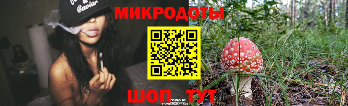 Псилоцибиновые грибы мицелий Кашира